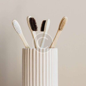 Brush Holder